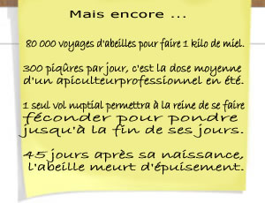 info_11