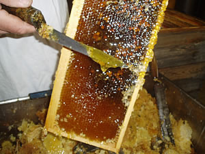 extraction_2