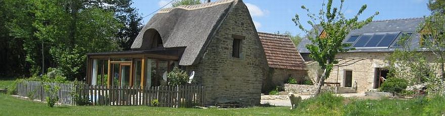image3.jpg