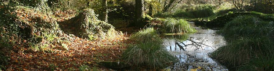 image2.jpg