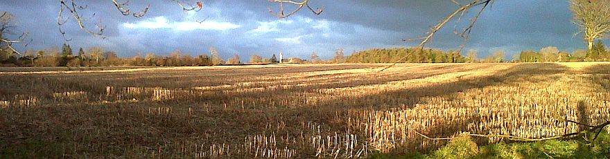 image1.jpg
