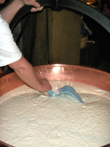 fromage 6.jpg