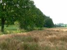Gl�ttweng - Natur pur!