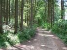 Holzwinkelwanderweg