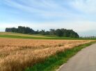 Landensberg - Blick auf den Bachberg