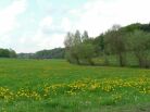 Landensberg - Weiherbachtal