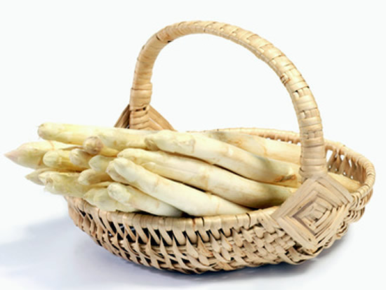 awfruehjahr1/Fotolia_7517676_XS.jpg