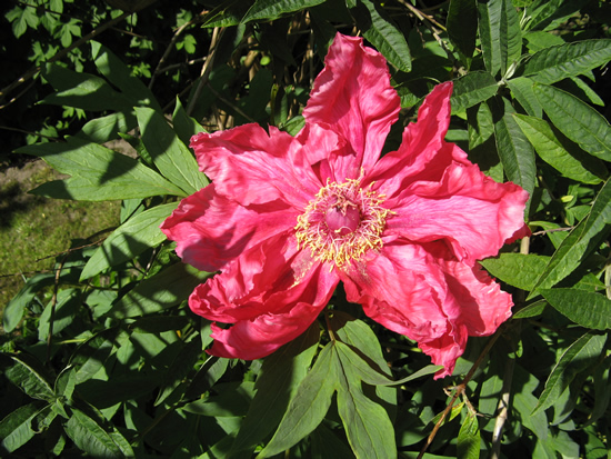 IMG_7878.jpg
