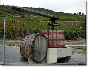 aDSCN20732.jpg