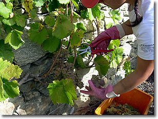 eDSCN21842.jpg