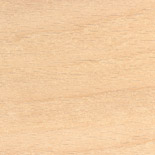 Teint&eacute;e B1 Erable