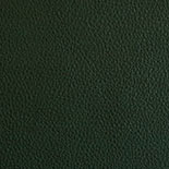 Cuir aniline gr&uuml;n 05