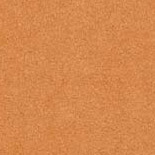 Orange 41
