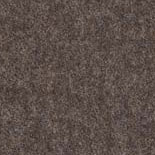 Braun grau 2d
