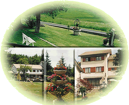 bois_vialotte