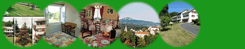 bois_vialotte