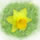 nature � d�couvrir