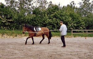 Le d�bourrage - Le Faire � Cheval