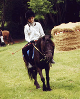 Equitation - Le Faire � Cheval