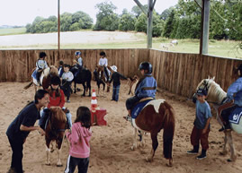 Equitation - Le Faire � Cheval