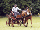 Attelage - Le Faire � Cheval