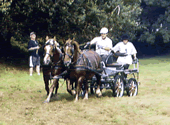 Attelage - Le Faire � Cheval