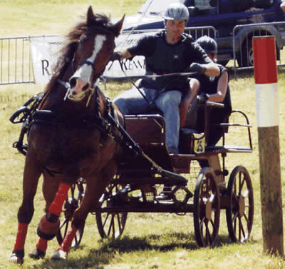 Les comp�titions - Le Faire � Cheval