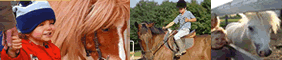 Equitation - Le Faire � Cheval