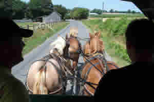 Balade en attelage - Le Faire � Cheval
