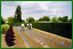 Paysagiste - Les Bocages assurent des travaux de plantations et de traitements.