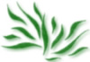Paysagiste - Cr��e en 1996, les Bocages, dont le g�rant est Thierry MUZATON, est une entreprise artisanale qui vous garantie Qualit� du travail, Ecoute, Conseil et Savoir-Faire