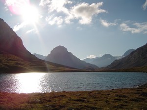 118b.jpg