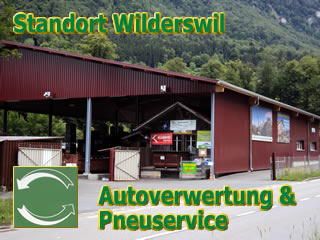 Standort Wilderswil