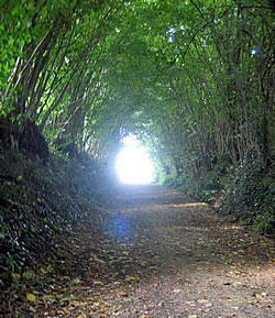 Der Weg zum Licht