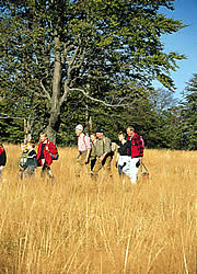 Wandern im Bayerischen Wald mit der ganzen Familie - Urlaub im Hotel Lindenhof bei Passau in Bayern