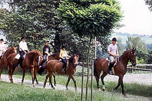 Reiten im Urlaub in Bayern, Bayerischer Wald nahe Passau - Reiturlaub im Hotel Lindenhof