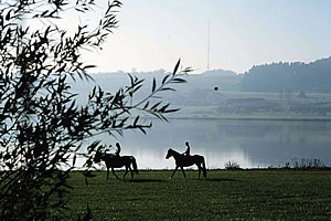 Reiten im Urlaub in Bayern, Bayerischer Wald n�he Passau - Reiturlaub im Hotel Lindenhof