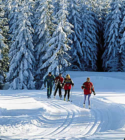 Langläufer, Skifahren, Langlauf - Wintersport im Bayerischen Wald, Arber, Bayern - Winterurlaub im Hotel Lindenhof bei Passau