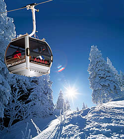 Eisstockschießen, Skifahren, Langlauf und Ski Alpin am Arber - Wintersport im Bayerischen Wald, Bayern - Winterurlaub im Hotel Lindenhof bei Passau
