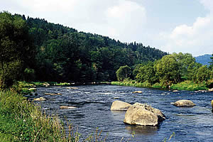 Wildbach - Ausflugtipps f�r Passau und Umgebung - Bayerischer Wald, Bayern - Urlaub im Hotel Lindenhof in Kellberg