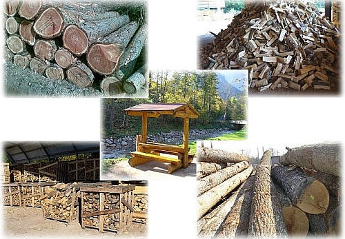 Brennholz, Rundholz, Baumf�lldienst, Einschlagsarbeiten, Gartensitzgarnituren, Waldgrundst�cke uvm.