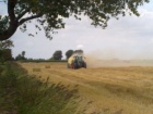 Krone mit Prechopsystem Krone mit Prechopsystem