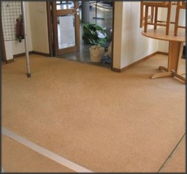 Moquette après traitement