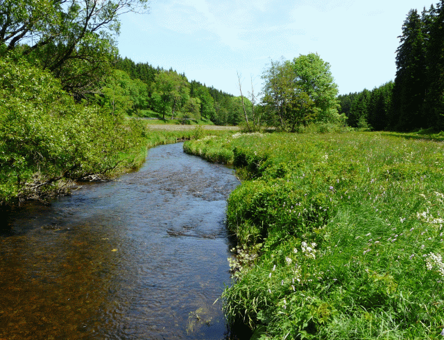 Warme Bode zwischen Tanne und K&ouml;nigsh&uuml;tte