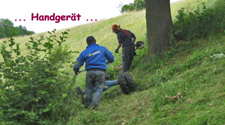 slide_14.jpg