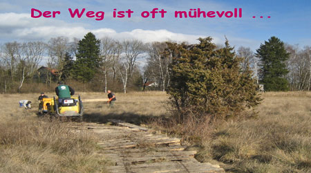 slide_24.jpg