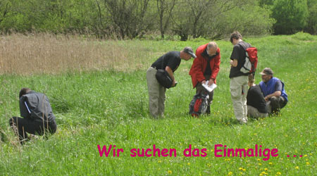 slide_26.jpg