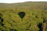 40 �ber dem Wald