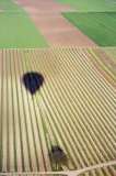 38 Ballonschatten �ber dem Weinberg
