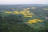 12 Rapsfelder bei Weilrod�Emmershausen